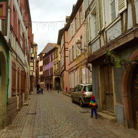 Daire Ferienwohnung Bitto - Europa Park Rheinhausen